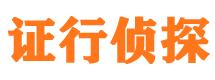 崇川市私人侦探